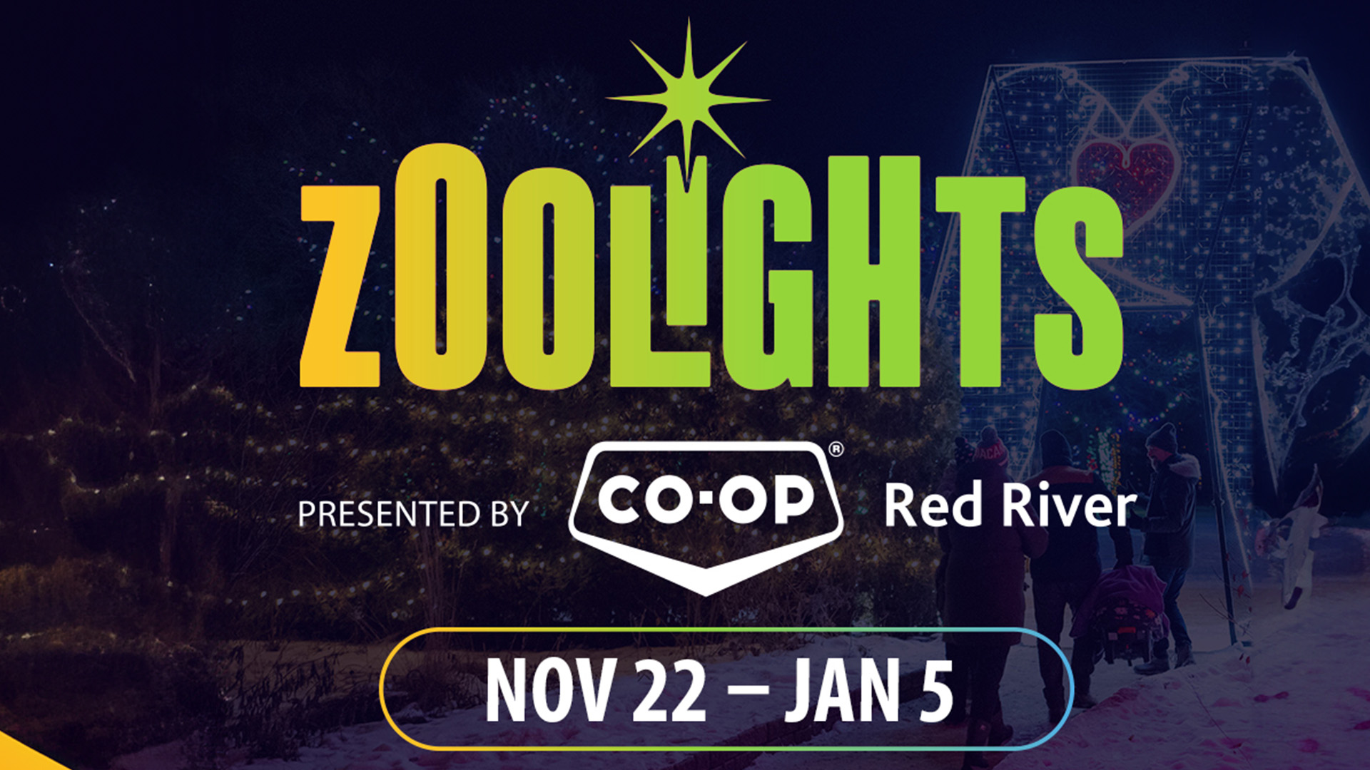  Zoo Lights 2024