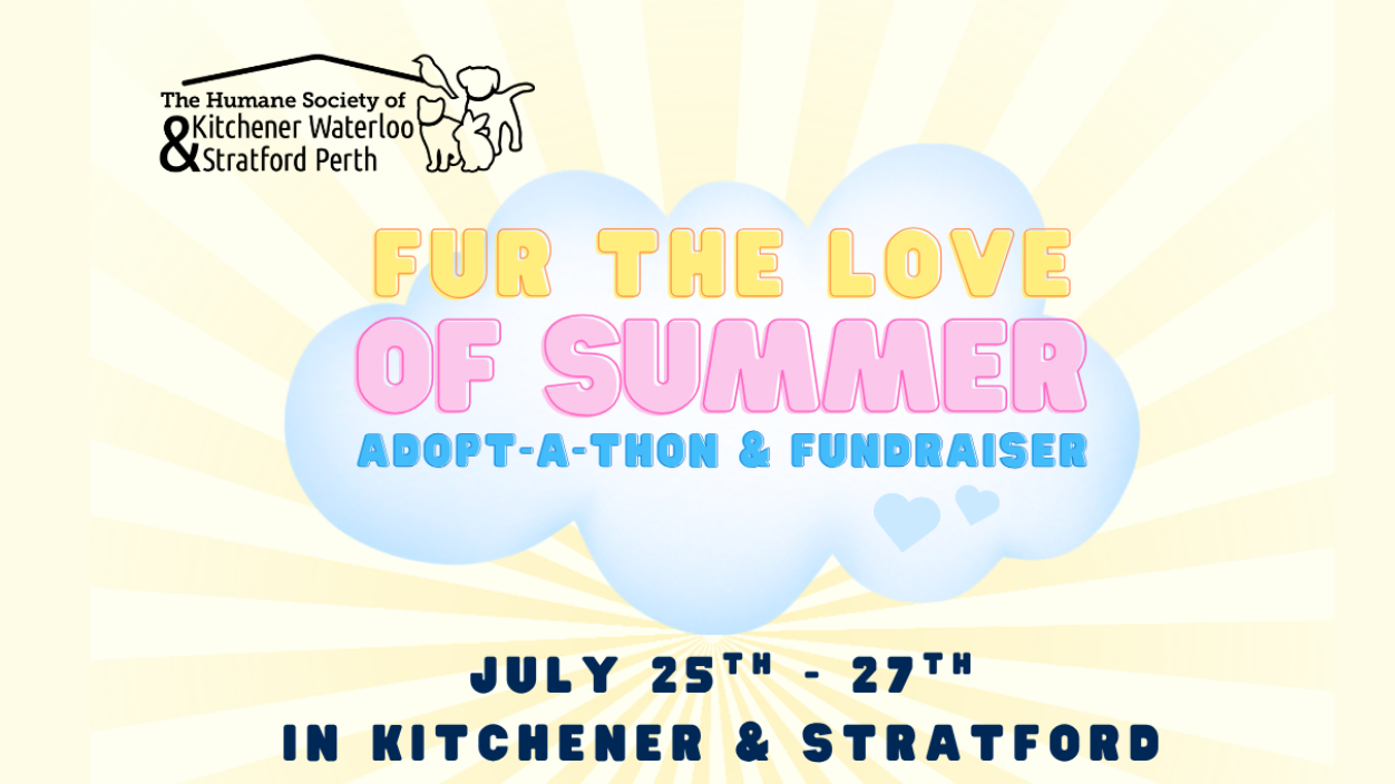 Fur the Love of Summer 