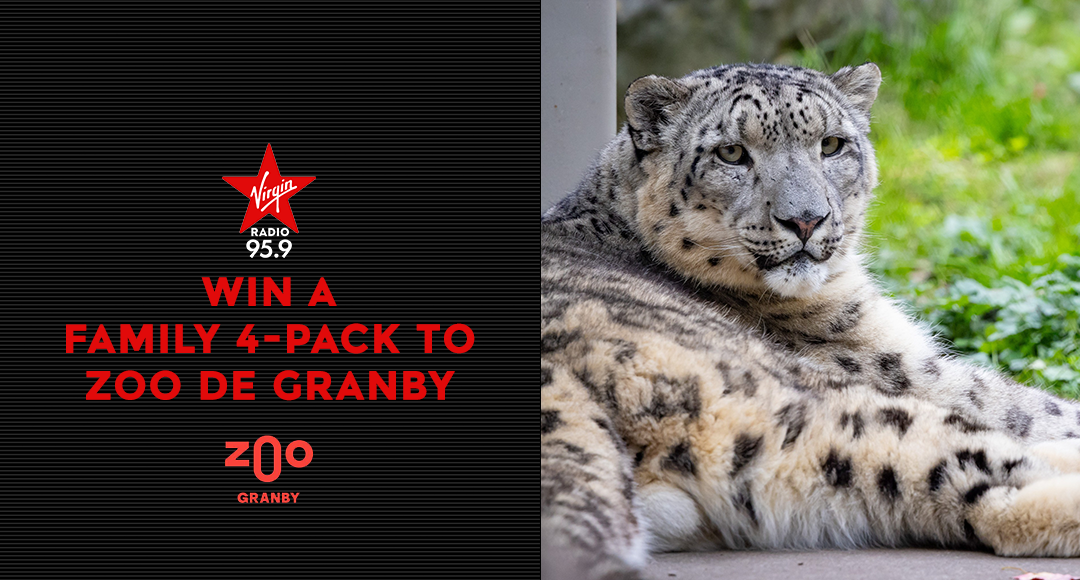 Win a family 4-pack to Zoo de Granby