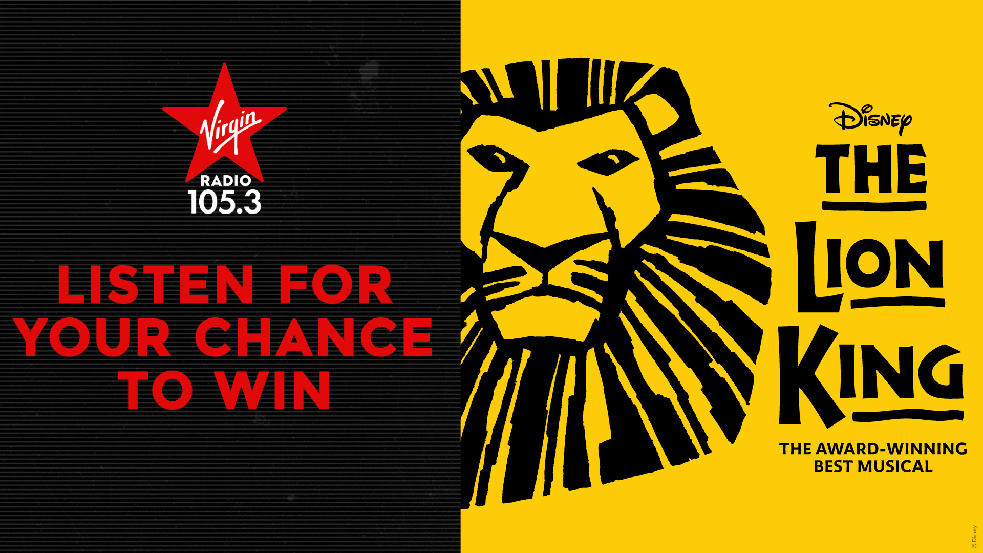 1053-LionKing