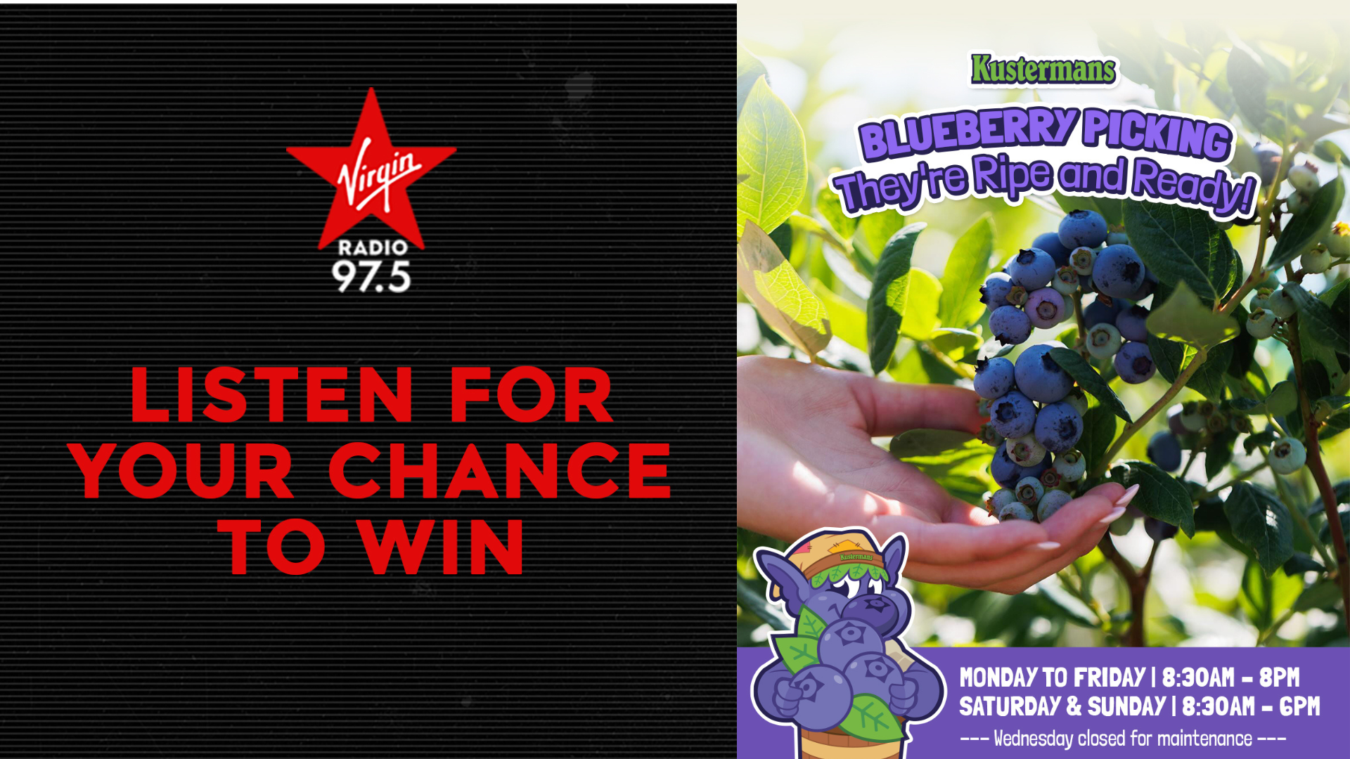 Kustermans Blueberry