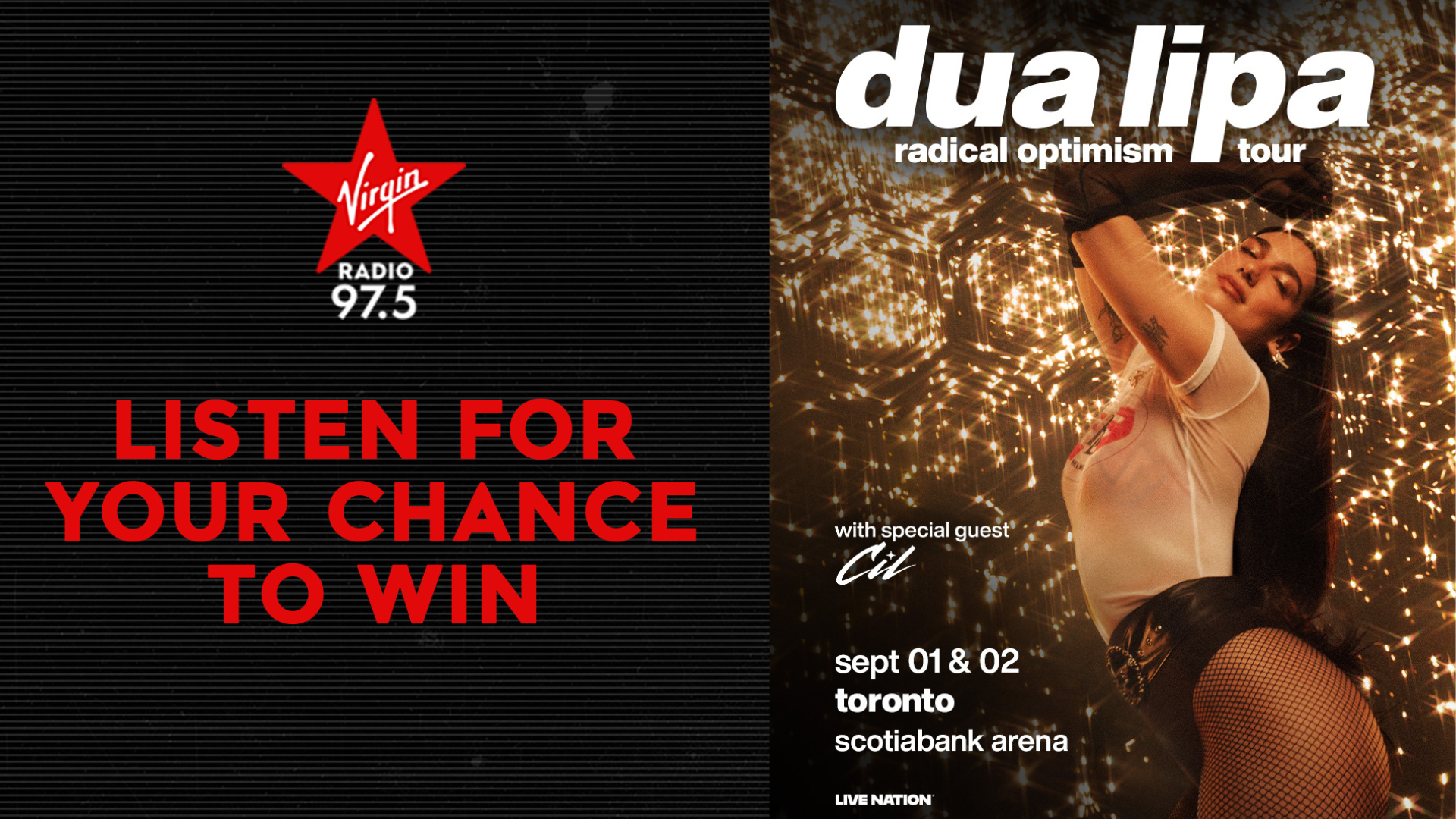 DuaLipa
