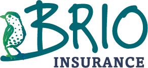 Brio Insurance