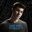 Something Big by Shawn Mendes