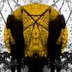 The Beast by Austra