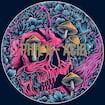 Acid by Phil K