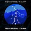 This Is What You Came For by Calvin Harris feat. Rihanna