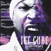 You Can Do It by Ice Cube feat. Mack 10, Ms. Toi