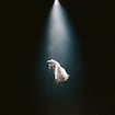 twilight zone by Ariana Grande
