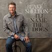 I'll Name the Dogs by Blake Shelton